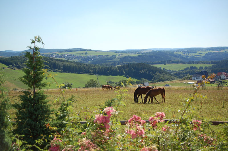 Blick ins Tal
